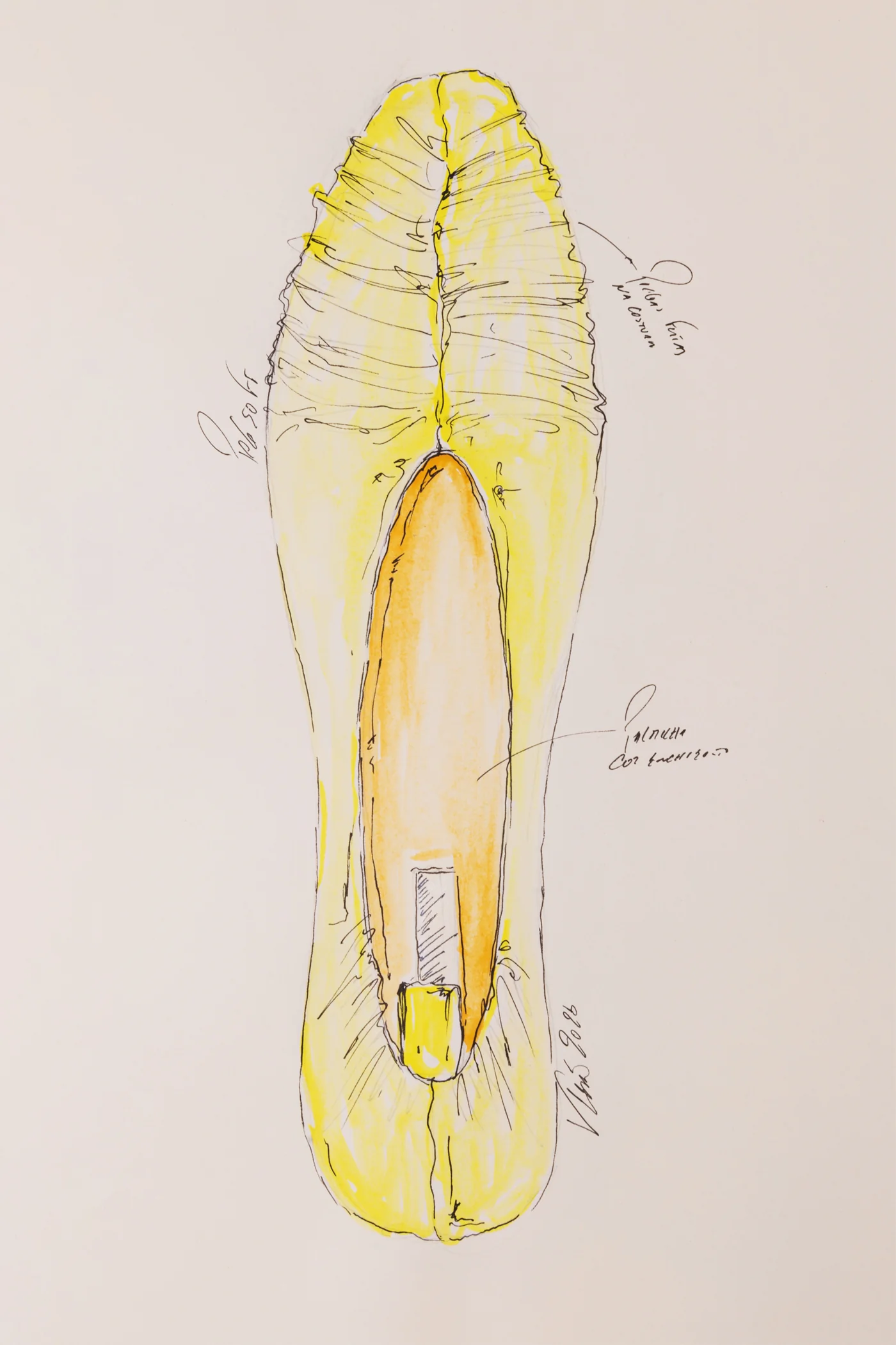 Imagem do produto 16